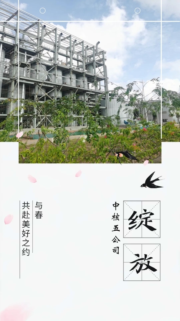 1c111540884df1533cae98d2afa8d81e 1c111540884df1533cae98d2afa8d81e