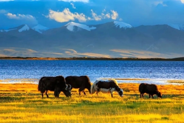 a6fc0c4efc49b0c505c4af5cded4a7a7 a6fc0c4efc49b0c505c4af5cded4a7a7